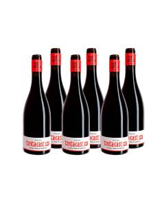 Vino Tinta Castiza Tinto. Bodegas Tinta Castiza. D.O. Madrid