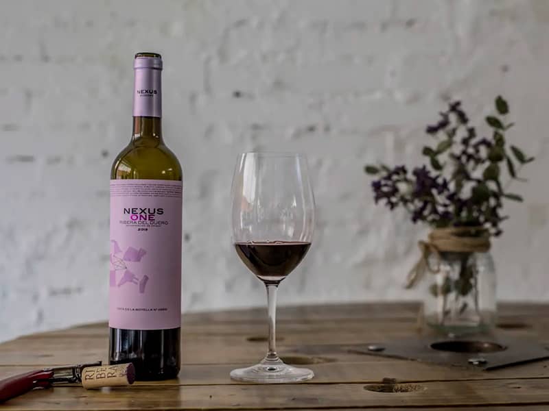 Diferencias entre un Ribera del Duero y un Rioja