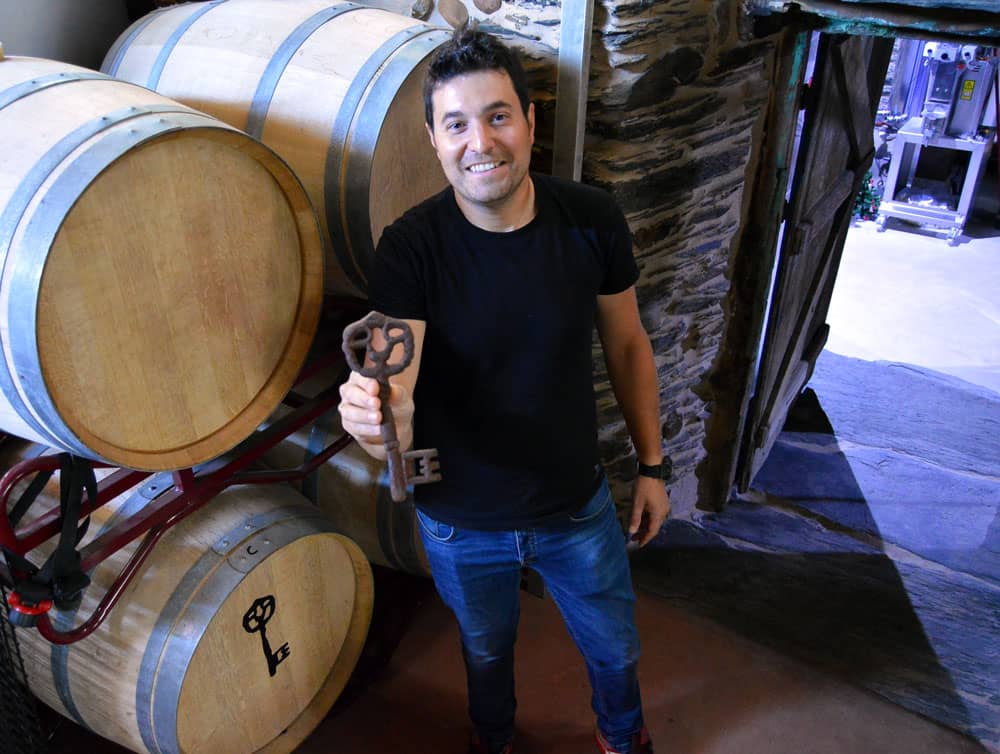 pequeña bodega 13 viñas