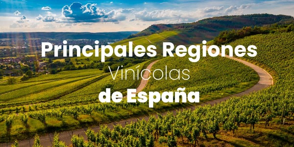 Las principales regiones vinícolas de España