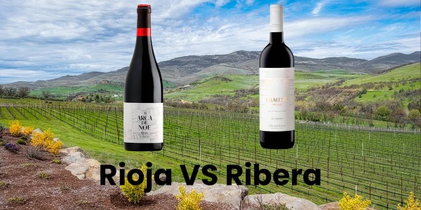 Rioja vs. Ribera del Duero. El duelo de los grandes vinos españoles