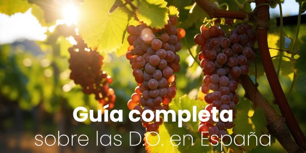 Guía completa sobre las Denominaciones de Origen del Vino en España