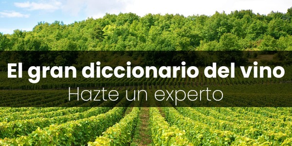 Diccionario del Vino. Más de 200 palabras para hablar como un experto