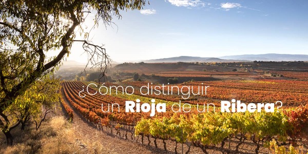 ¿Cómo distinguir un vino Rioja y un Ribera? Principales diferencias