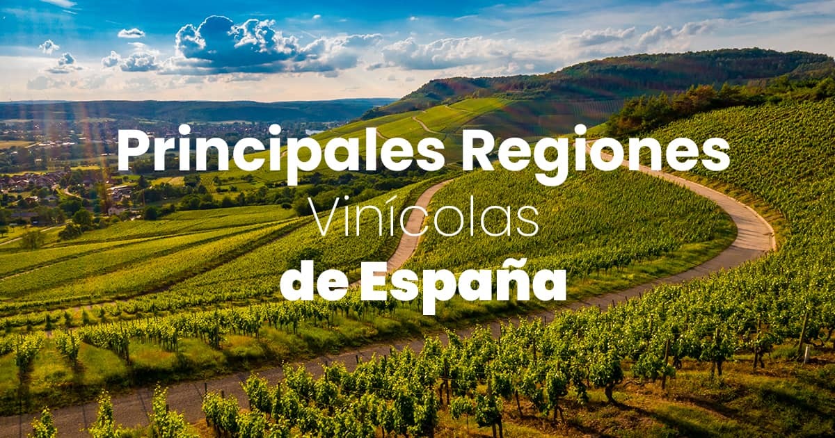 Las principales regiones vinícolas de España