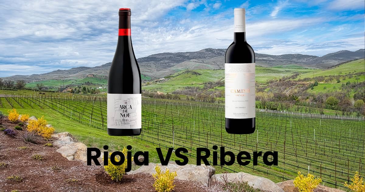 Rioja vs. Ribera del Duero. El duelo de los grandes vinos españoles