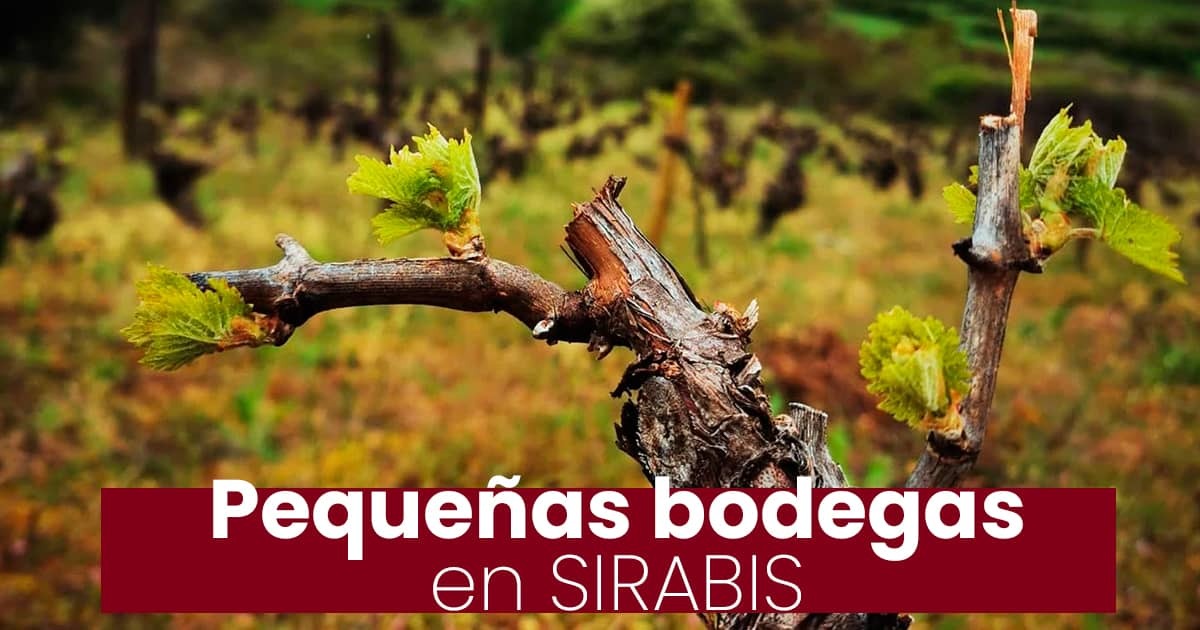Llevando vinos con alma a tu mesa