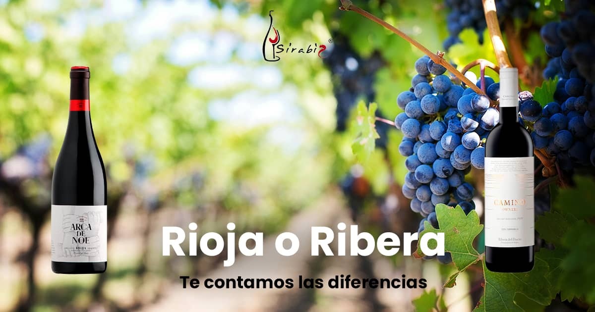 ¿Qué diferencias hay entre un Rioja y un Ribera del Duero?