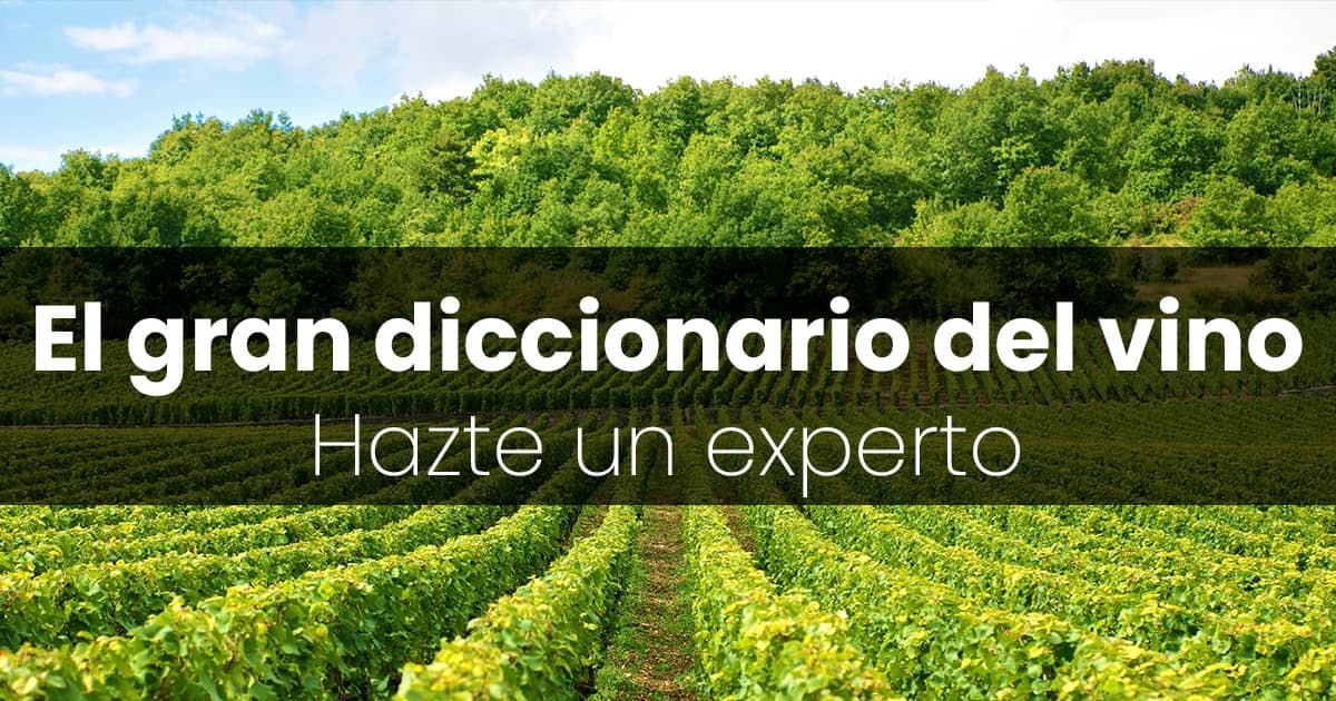 Diccionario del Vino. Más de 200 palabras para hablar como un experto