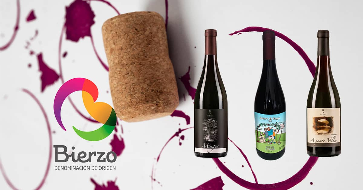 Los mejores vinos tintos de la D.O. Bierzo. Calidad, tradición y autenticidad